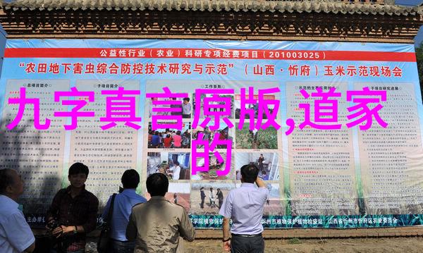 爱不限于肉身精神层面的修道人关系探讨
