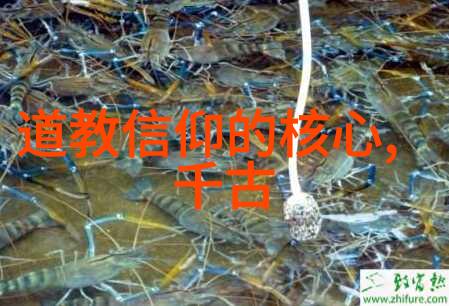 大道至简智慧的现代指南针