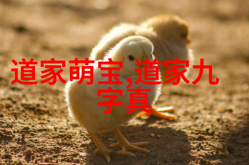 入魔后修行者的未来充满希望还是无尽绝望