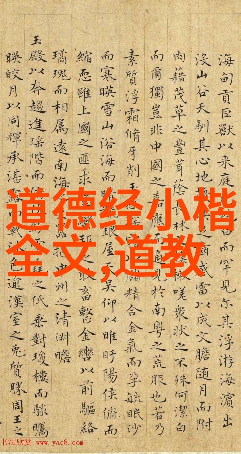 人生哲学人性情感与社会在道德经中的位置