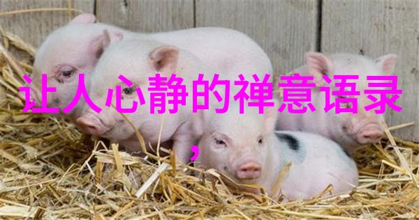 道德经100金句精华儒家哲学古籍智慧集锦