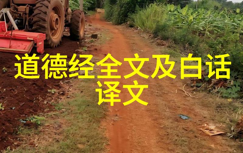 探索道教哲学宇宙人生与内心修炼的智慧