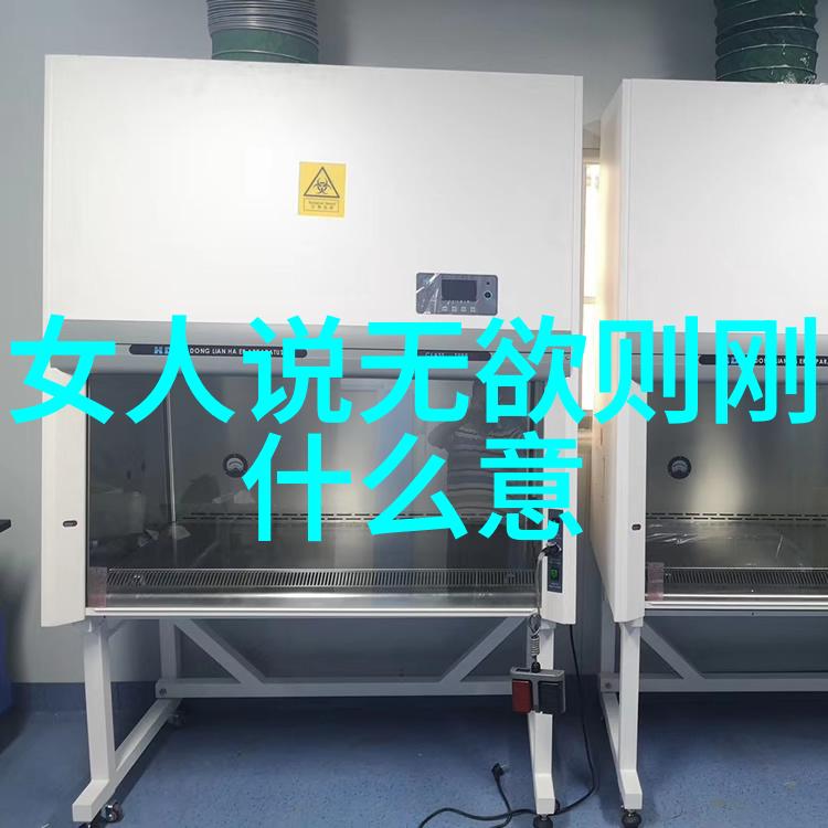 随机而生自然而灭庄子无为的哲学探索