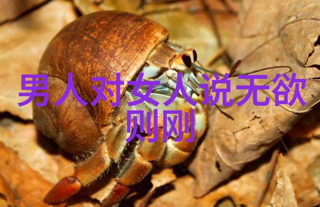 都市传说系列樱花之谜
