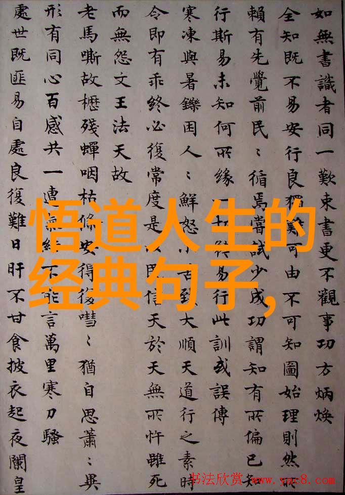 无为无不为无可无不可 - 静观世界自然流转探索无为智慧的生活哲学
