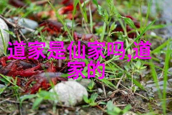 修身养性藏于室内道家房中术的哲学根基