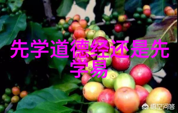 庄子活得像个大大的无为高手什么都做了但感觉没做什么