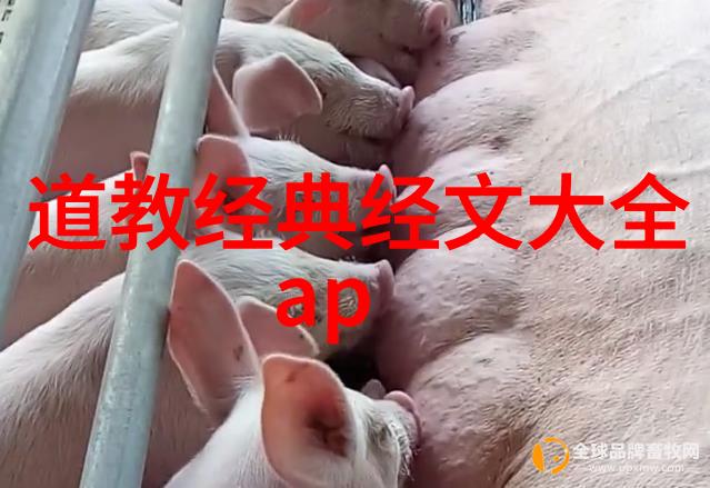 性无为又无不为的哲学深度解析探索性与责任的平衡