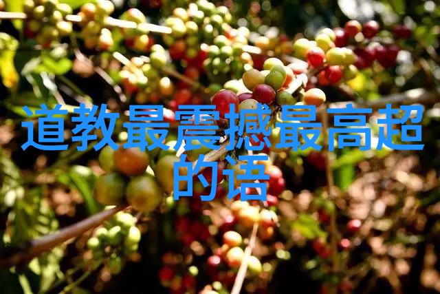 道韵简约探索大道至简的诗句智慧