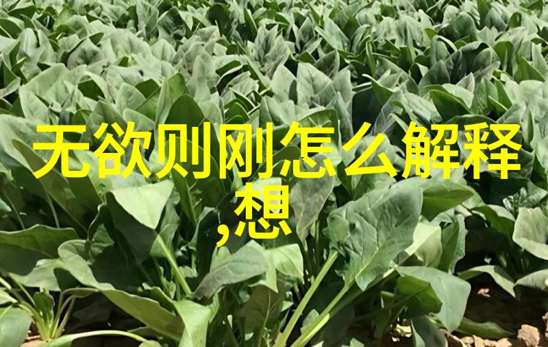 道教四大名山的魅力与意义