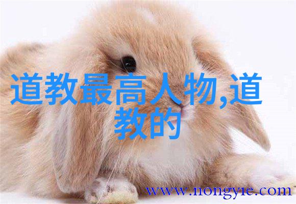 智慧启示录解析古代文化中对念九字真言的重视意义