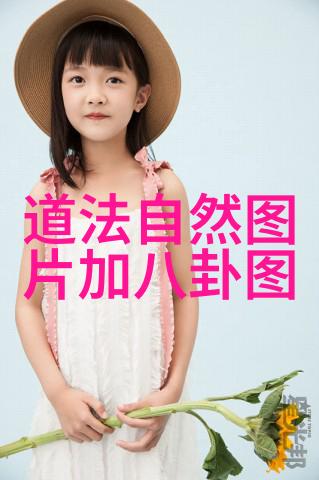 爱国之情绘诗李清照的爱国诗句探究