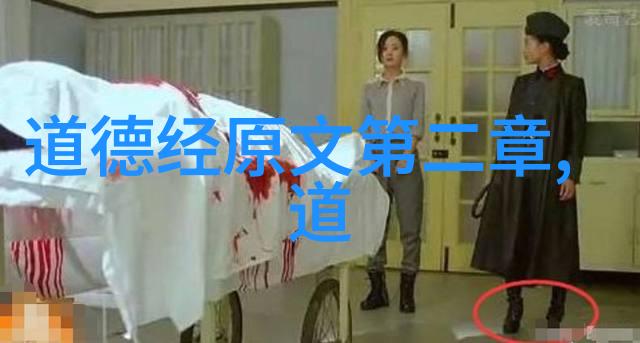 道德与法律的共鸣-心灵之声探索思想道德与法律的共同点