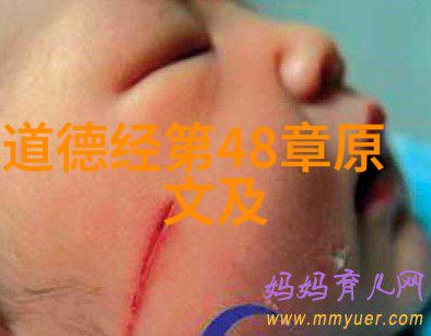客家人的饮食文化咱们来聊聊这顿饭的故事
