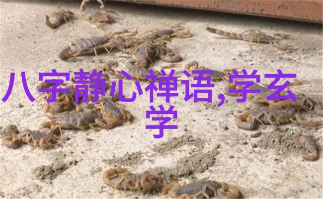 道家智慧探索无为而治至天地不仁以万物为刍狗的哲学深度