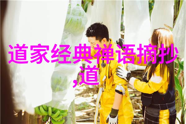 管仲之策略与老子的无为