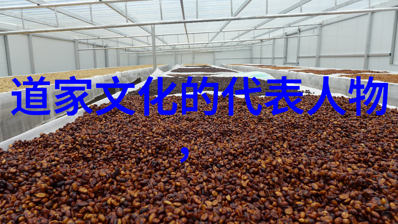 婚后热恋你重温初恋的甜蜜与挑战
