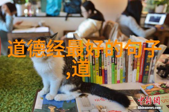 静心之道古代禅宗智慧的精华