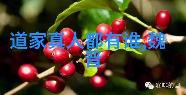 在追求个人目标时她是如何平衡自己的欲望与责任感的