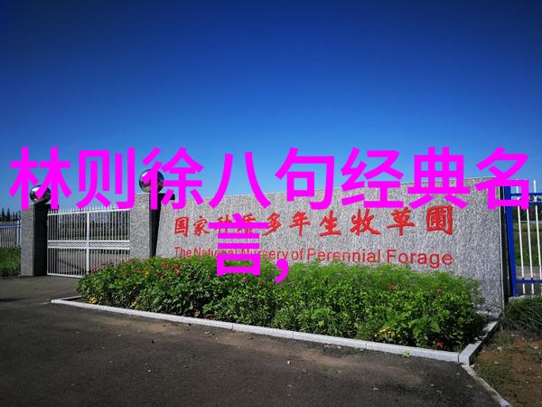 女性开悟之旅身体语言中的灵魂觉醒