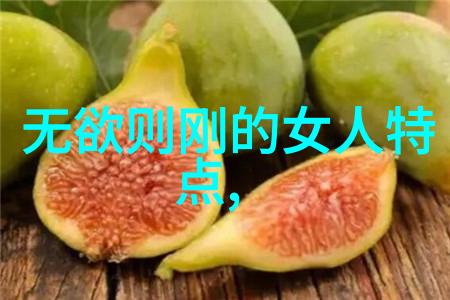 老子的天人合一理念探究