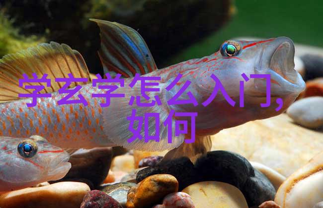 慈悲的边界穿越心灵之门寻找未知