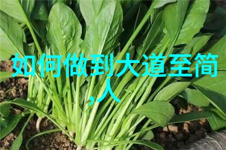 墨香沉淀楷书之美的细语