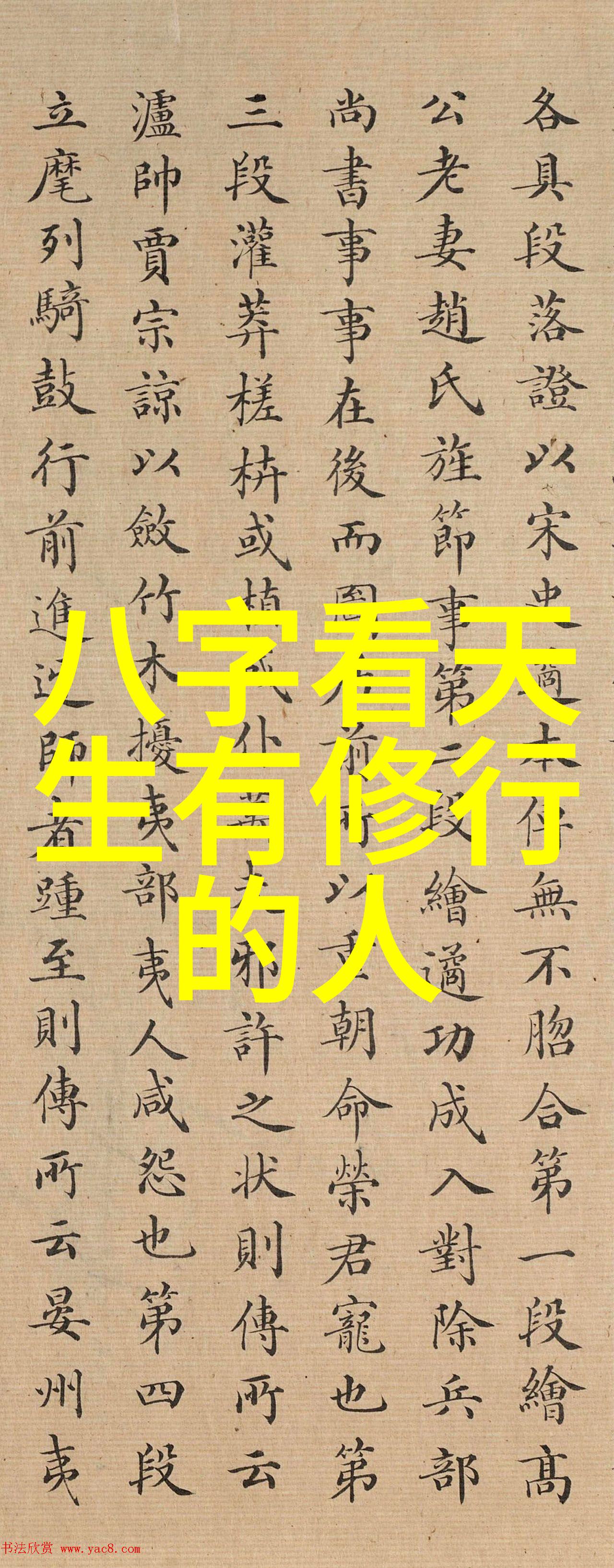 四大菩萨谁最为强大阿弥陀观音文殊与普贤的智慧与力量对比