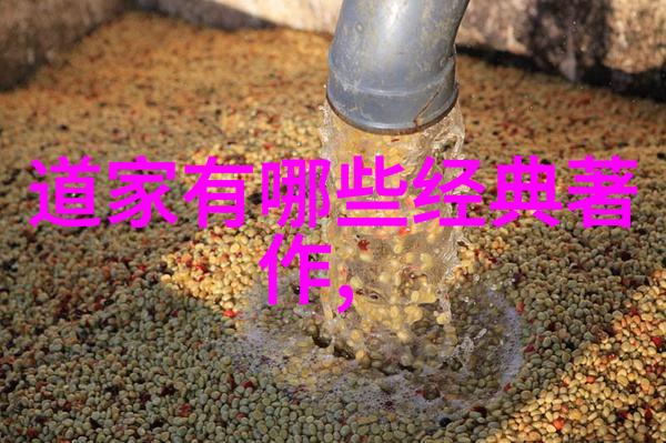 超脱凡尘开悟人生的最高境界之探究