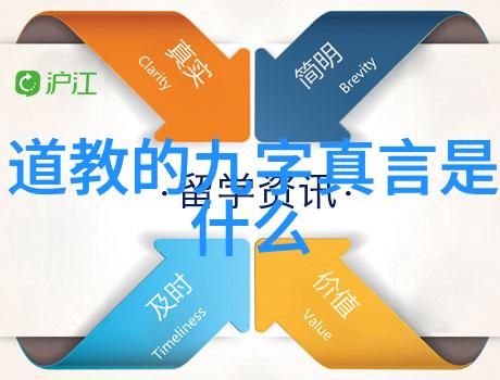 美国满天星的救赎之路一名急救护士的故事