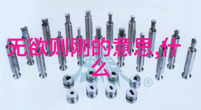 修炼心灵成为一名道士的道路