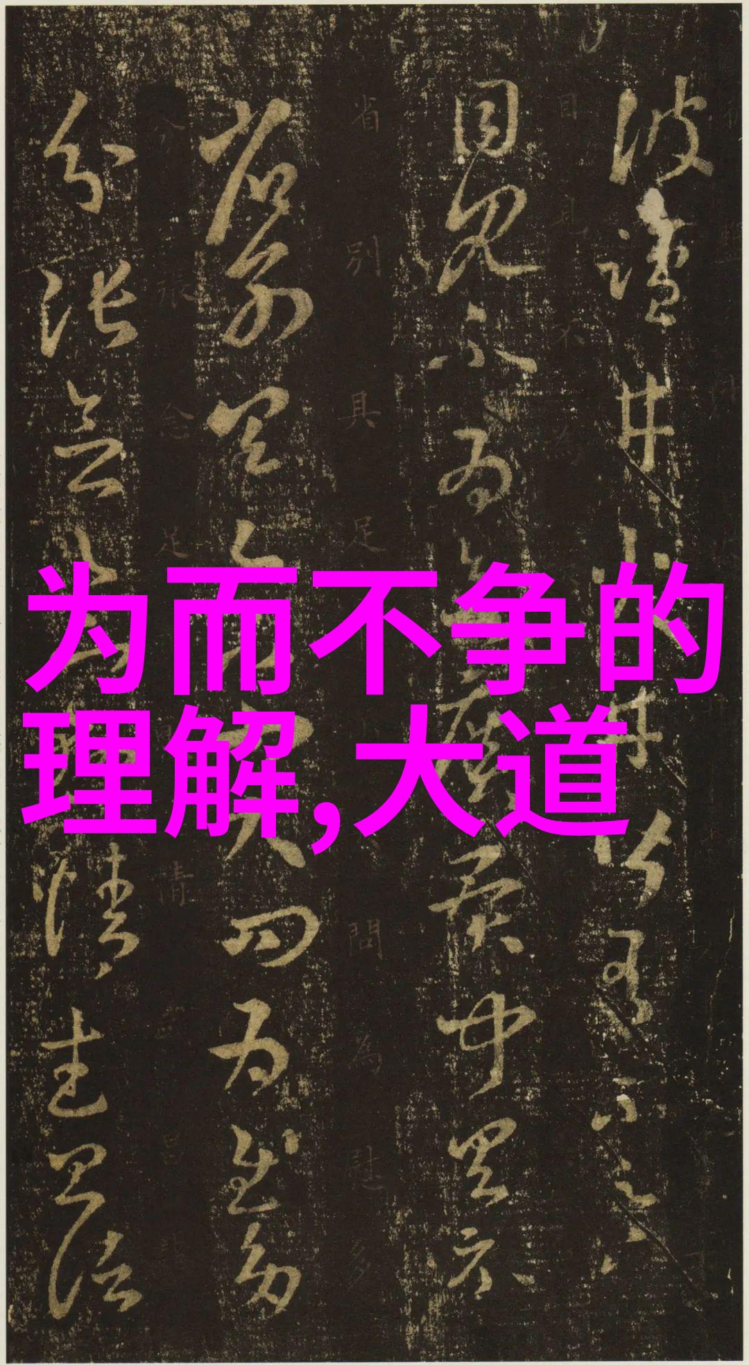 仙境中的智慧指南者