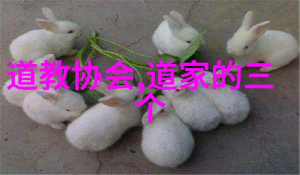 无为不成-顺应自然无为哲学在现代生活中的应用
