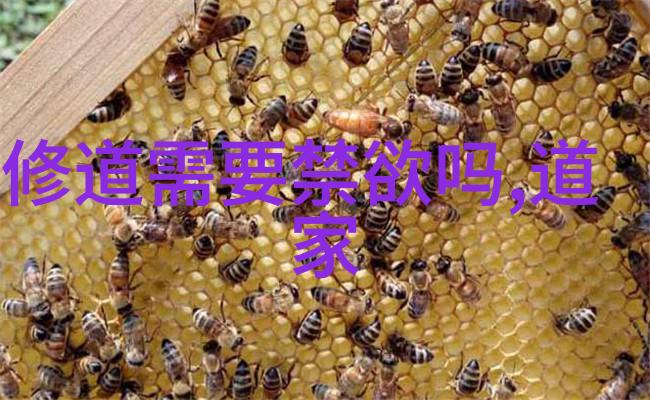 在爱情关系中无为能否带来更深层次的情感交流