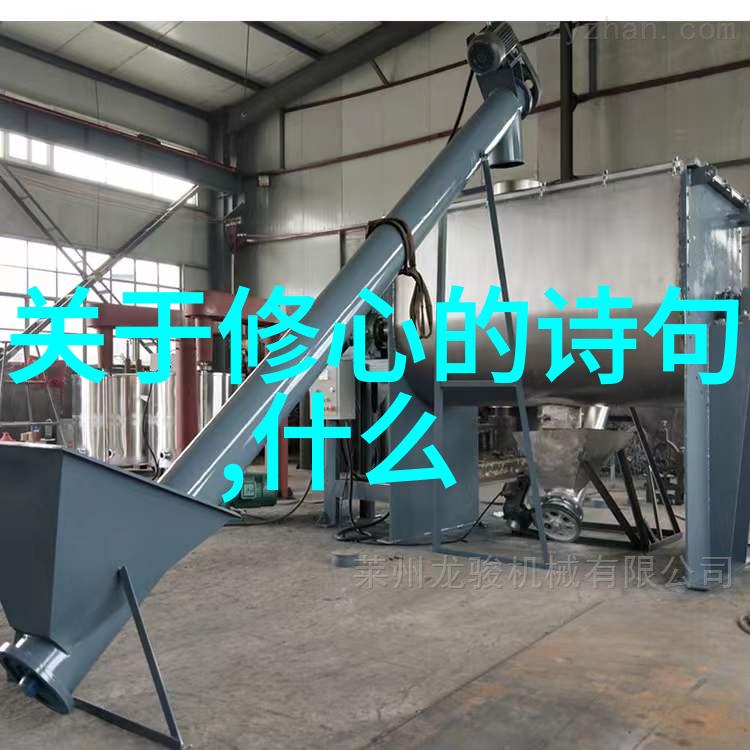 自渡之道禅意的智慧深处