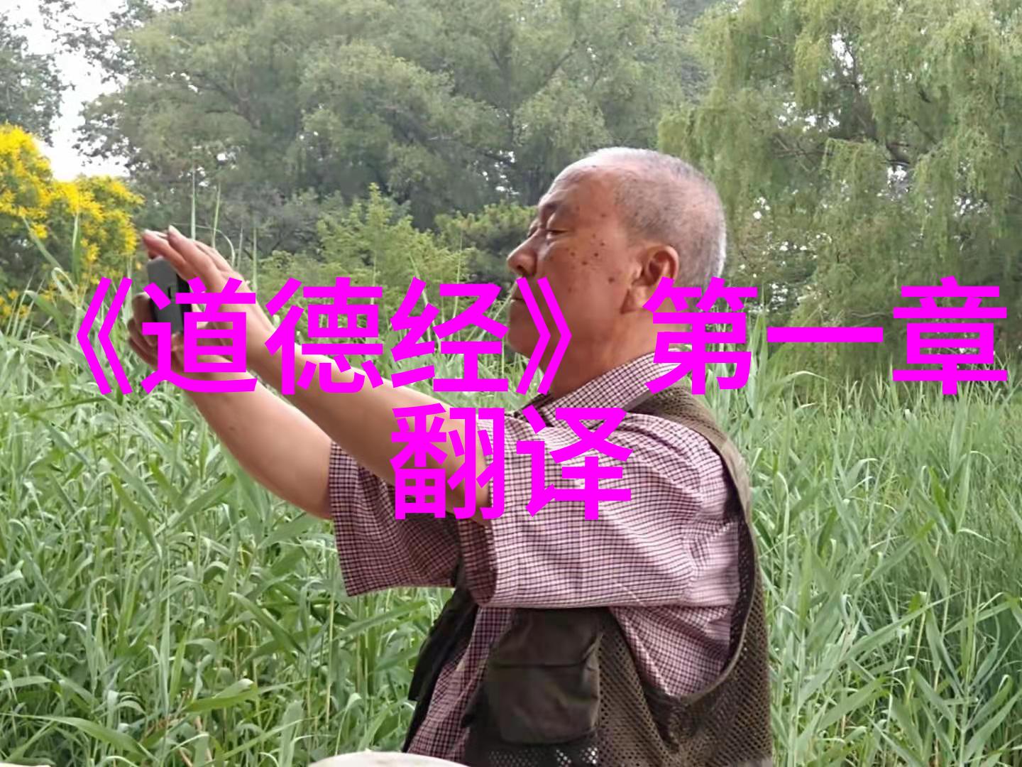 古诗词网消失的韵味与藏匿的墨迹