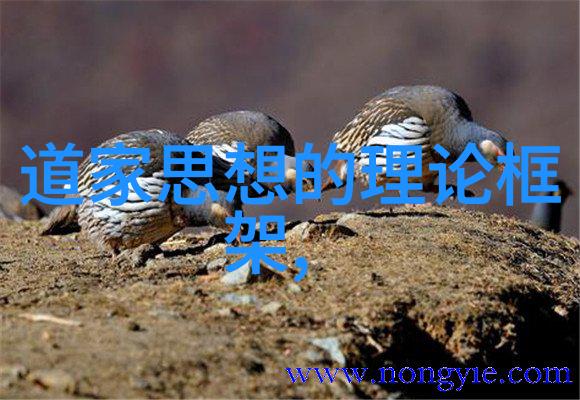无为方能无所不为智慧生活的艺术内在力量的释放与外在世界的和谐共生