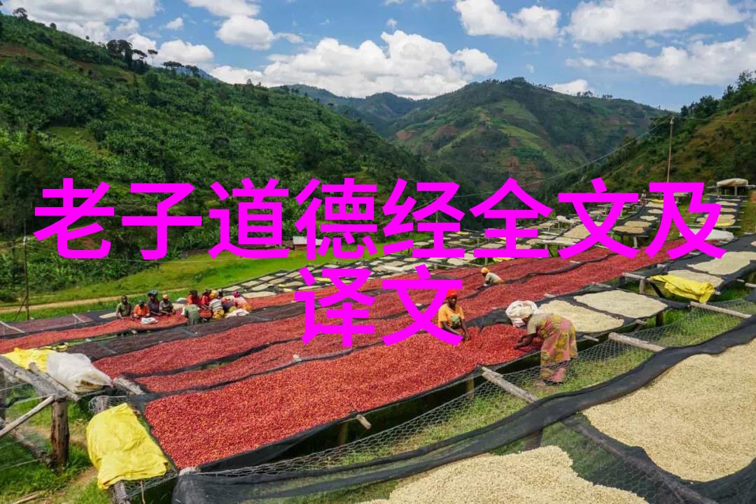 道常无为而无不为哲学中关于自然法则的深度探讨
