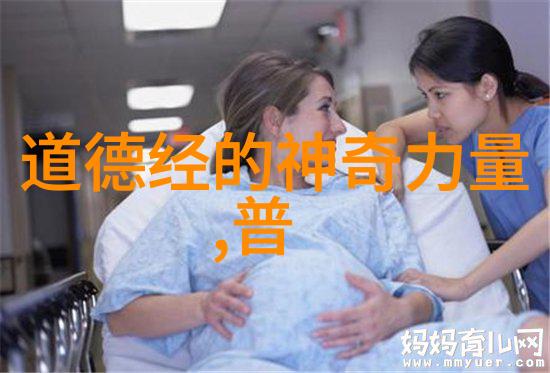 无为静谧的艺术与自然之韵