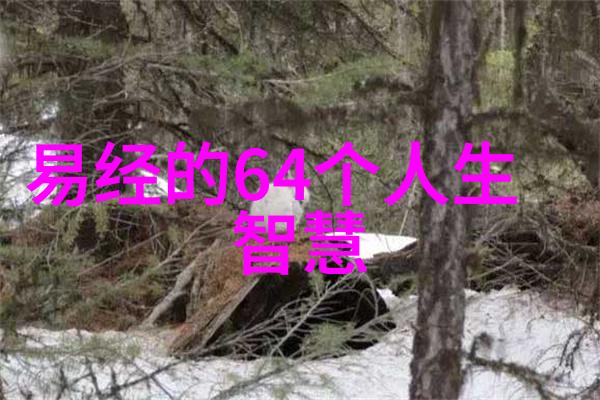 道教名人传探索修仙之路