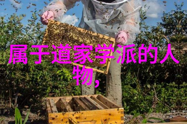 对对于出道弟子的这种情况师父们有何看法和解决办法