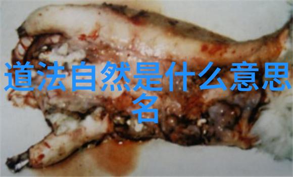 道德经中蕴含的哲学思想是什么