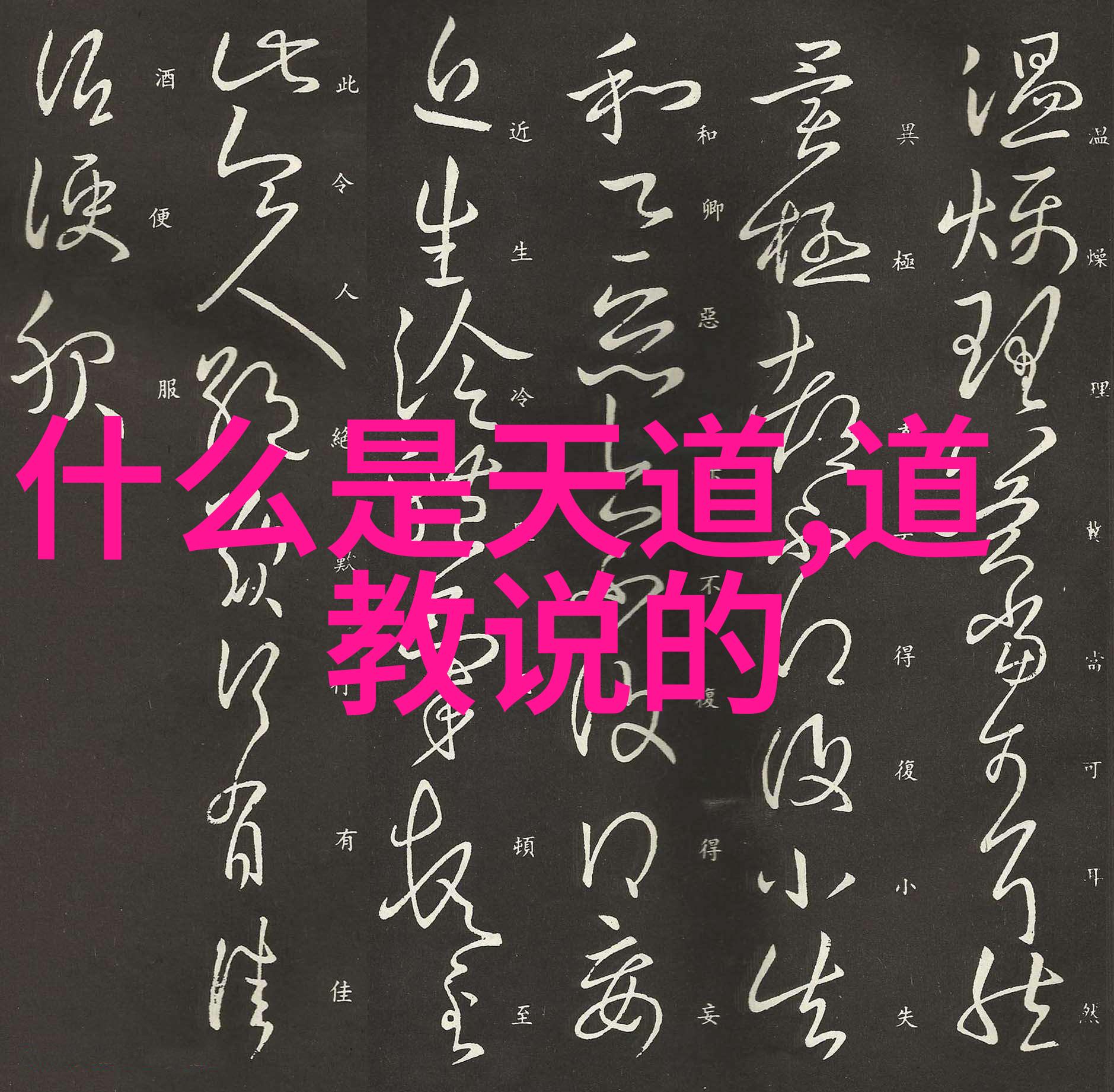 大戴吉注群书之道教文化源流