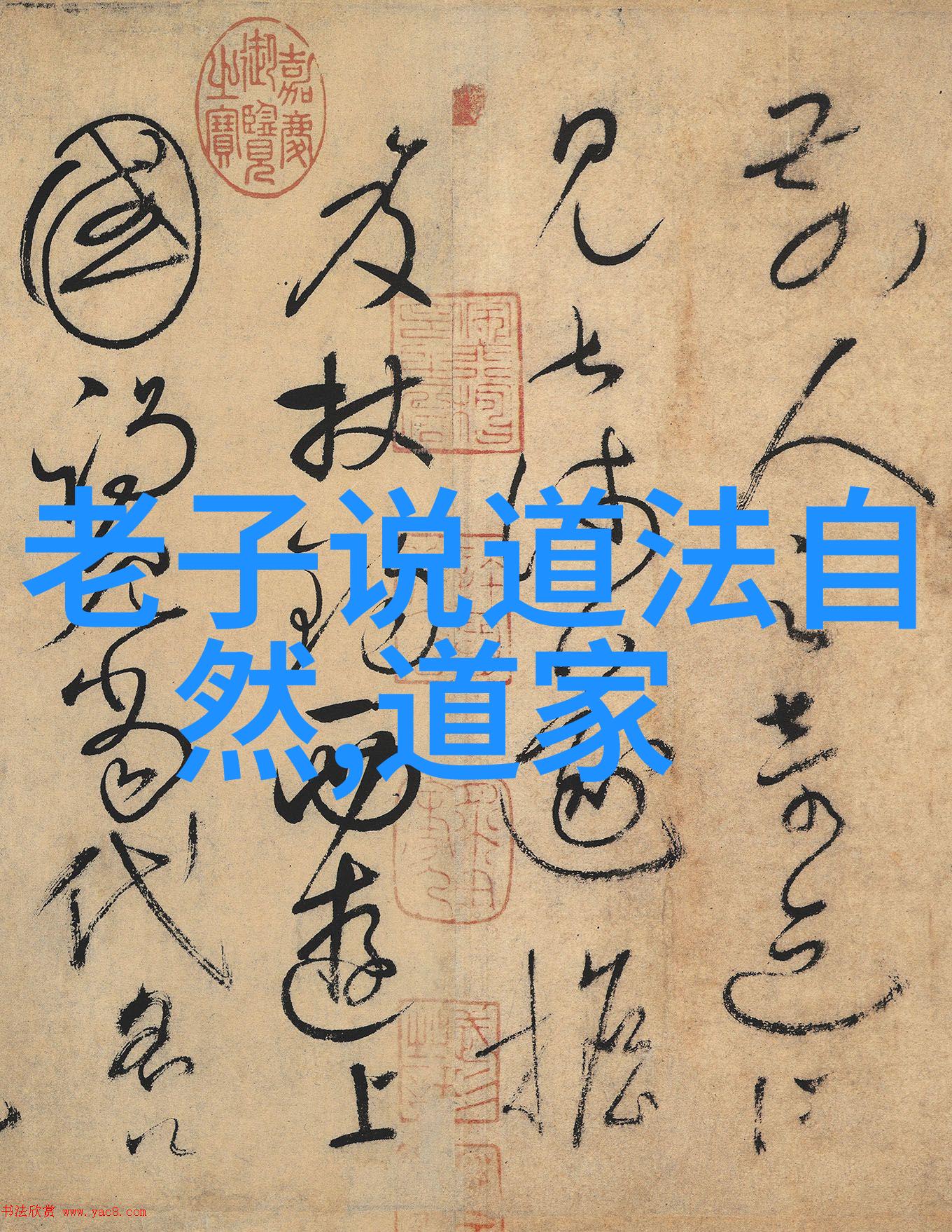 书法艺术的细腻之美100字鉴赏指南