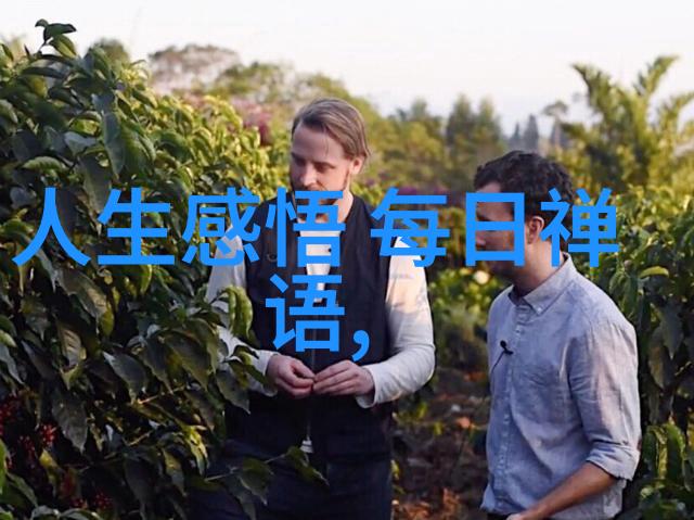 对复杂系统我们该如何寻找其内在的简单性质以实现大道至简的目标