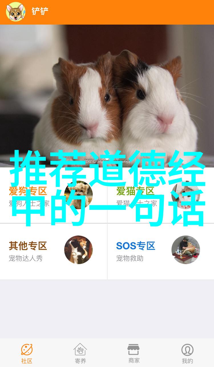 忧国忧民抒发对社会大义的深切同情