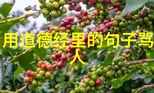 道家入门必看的十本书探秘天人合一之旅