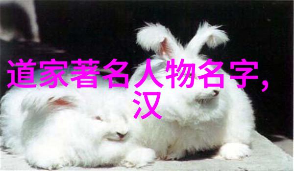 寻仙记洞天福地的秘密