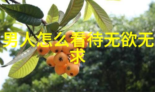 超越凡胎之路恐怖的成仙途径探秘