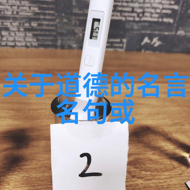 道家学说对中国和世界的深远影响道教哲学中国文化内丹术太极拳易经